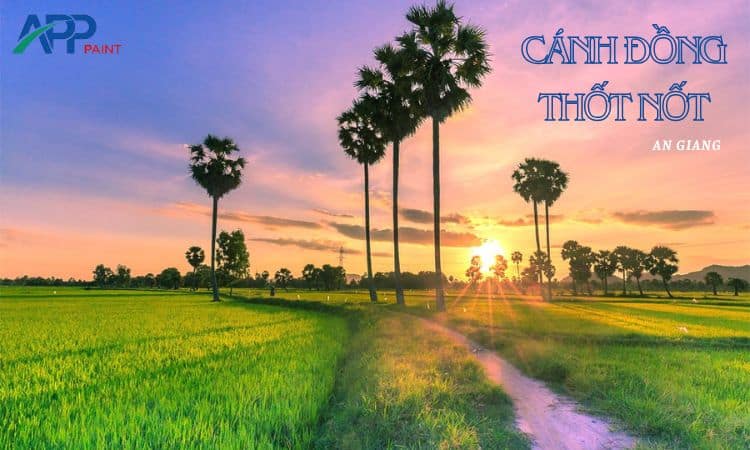 An Giang Vùng Đất Chuyển Mình và Nhu Cầu Xây Dựng Hiện Đại