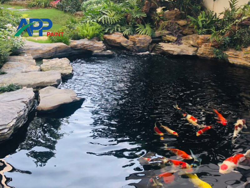 Các phương pháp chống thấm hồ cá phổ biến hiện nay
